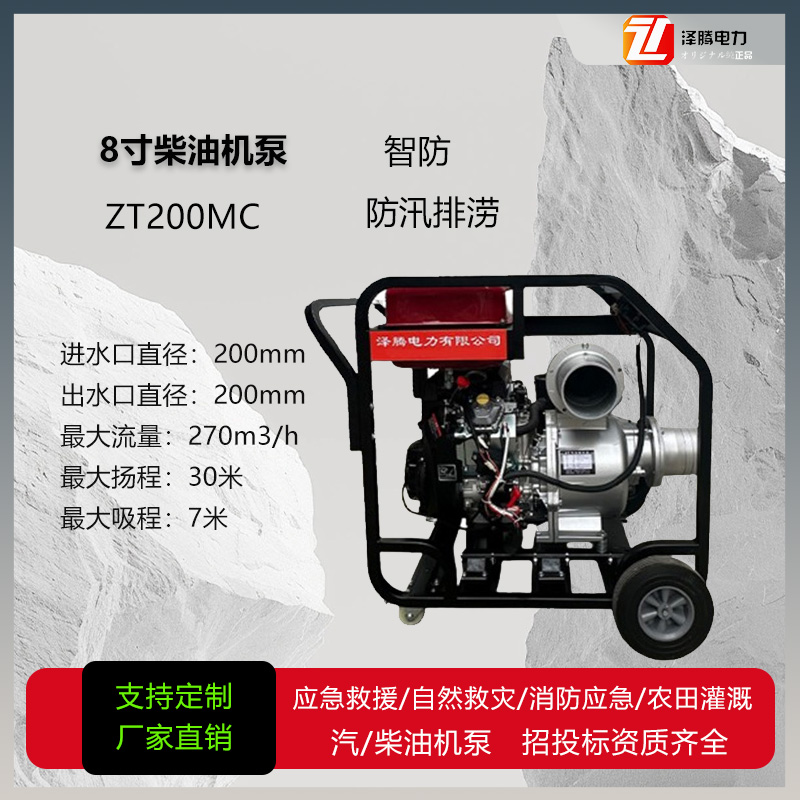 8寸双缸柴油机水泵 ZT150MC-2 智防